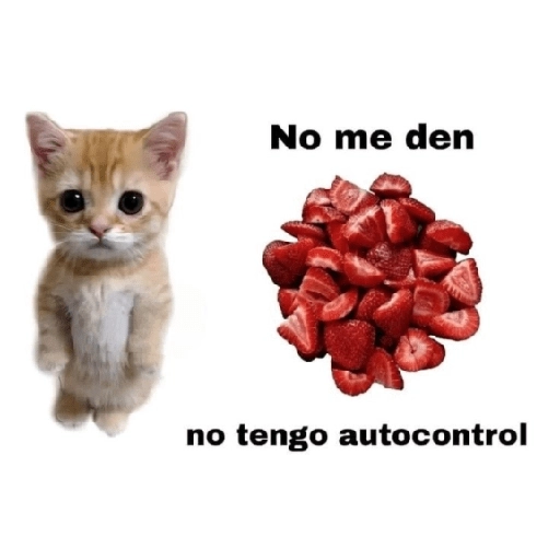 No me den no tengo autocontrol