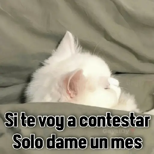 💫 conTrabajo estudio 🤣❣️ 7
