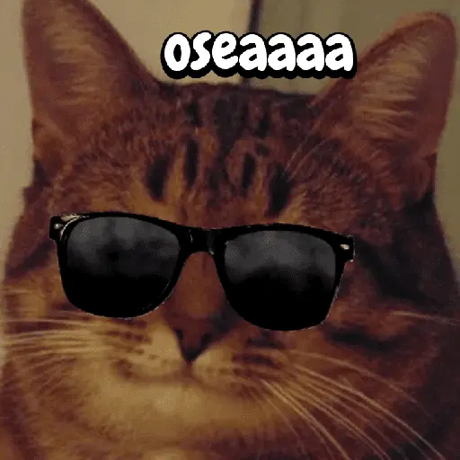 Gatos memes random🐈⬛🐱 1