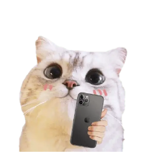 Michis random🐈🐈⬛ 9