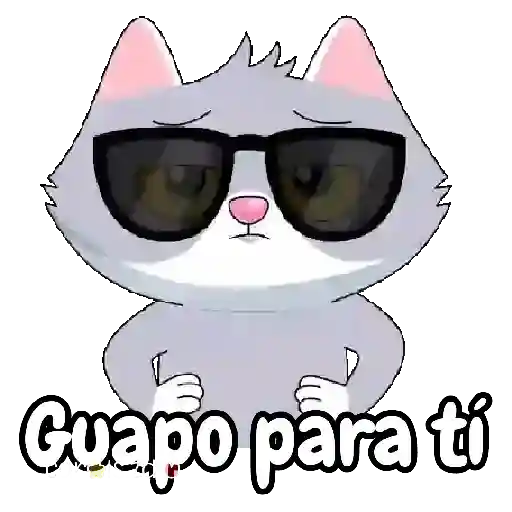 어 Guapo para tí