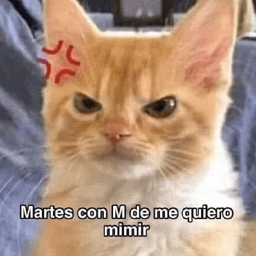 یال Martes con M de me quiero mimir