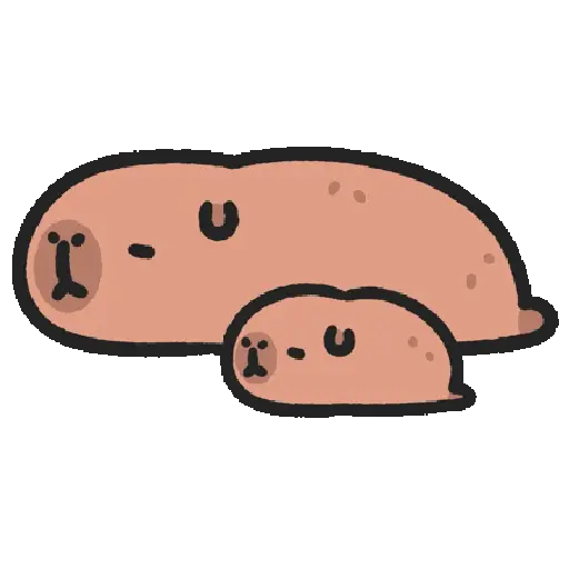 🐹°CapiBara Cute°🐹 4