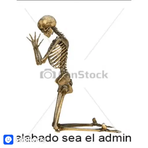 soy admin 1