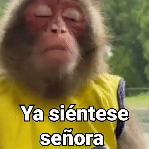 Ya siéntese señora