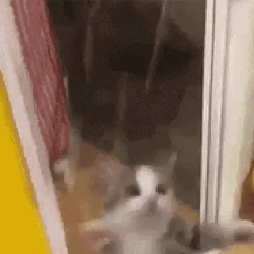 🎵 TIKTOKeando 36🎵 18