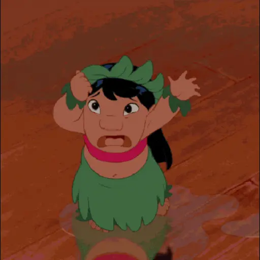 Lilo & Stitch 14