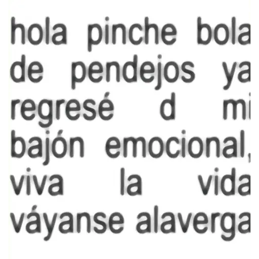 Frases Salvatore pal grupo🫂 14
