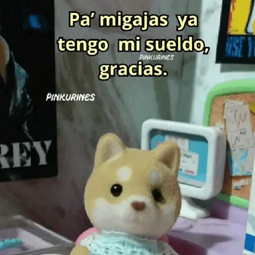 💥PAL GRUPO💥💬 2 11