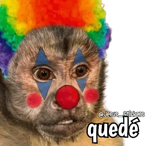 Monos y frases 💬🙊 6