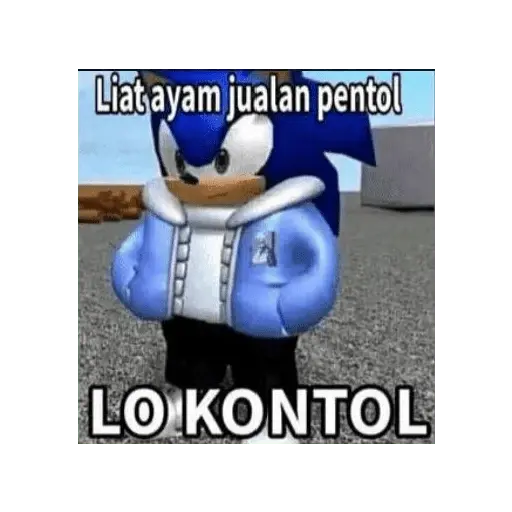 meme sonic 14