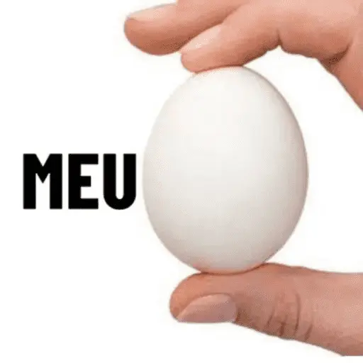 MEMES PRA VOCÊ USAR 2
