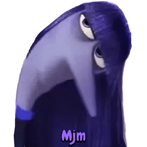 Intensamente 13