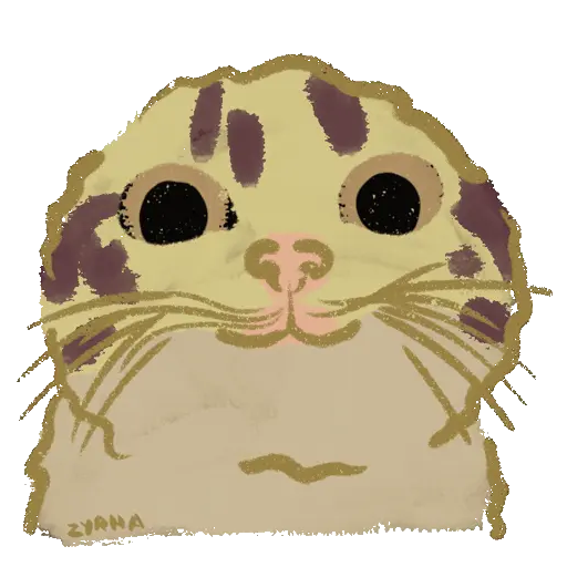 Chipi Chipi Chapa Chapa 9