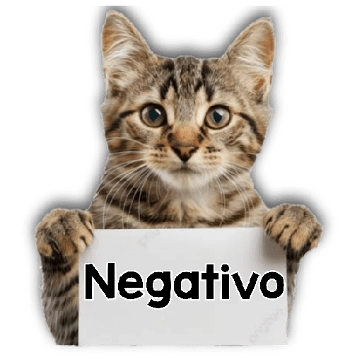 Michi mensajes gatito 🐱📩 6