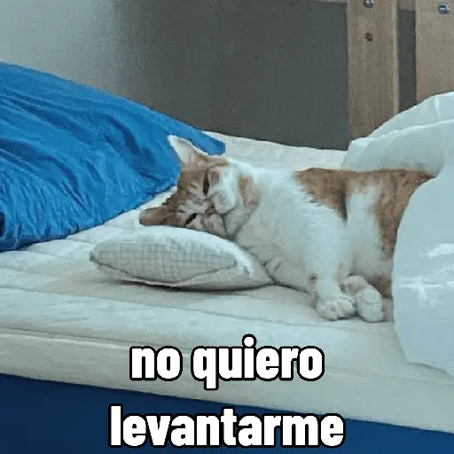 Michis con calor 🥵🥵 7