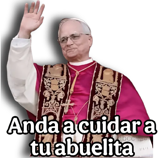 Papa Leon XIV 2😎 13