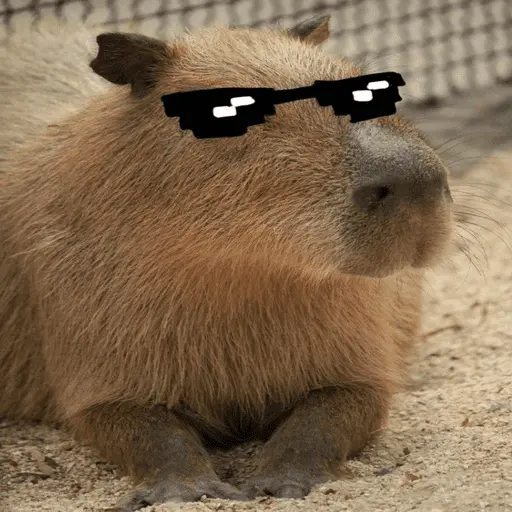 Capibara 🧸✨ 10