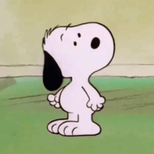 🐾•🏡Snoopy🏡•🐾 11