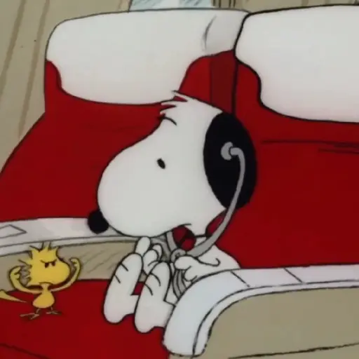 ﹒🐶˙﹟Snoopy﹗© ivanbu 3