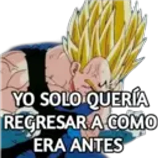 15 Chavo ruco Cari # 9