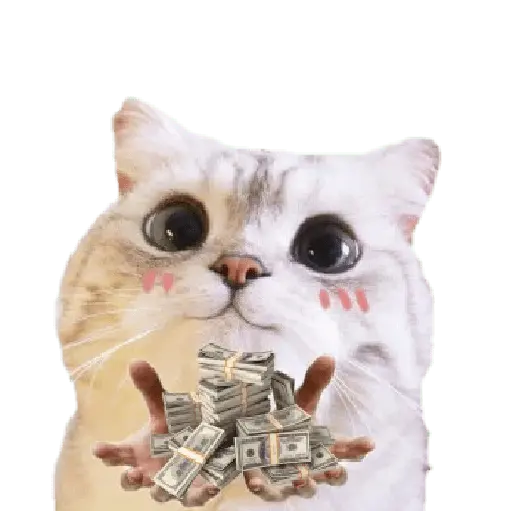 Michis random🐈🐈⬛ 22