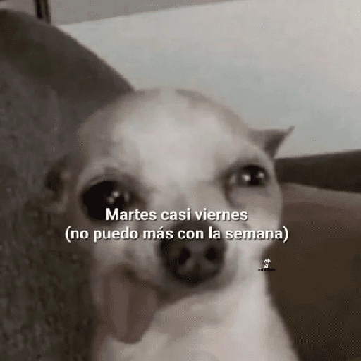 Martes casi viernes (no puedo más con la semana)