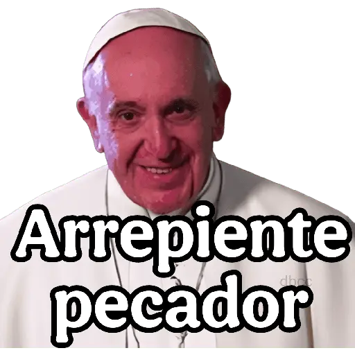 papa Francisco 😎 23