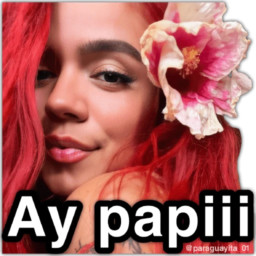 🍃🌺🌹KAROL G🌹🌺🍃 5