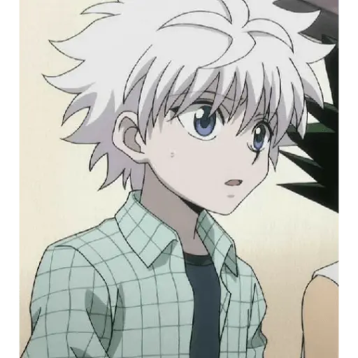 hunter x Hunter 13