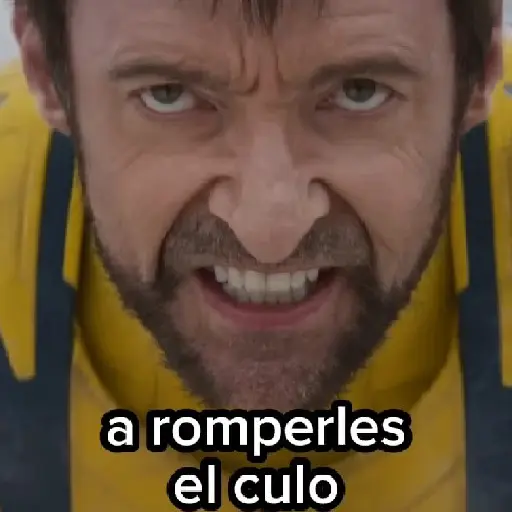 DEADPOOL ⚔️ WOLVERINE 19