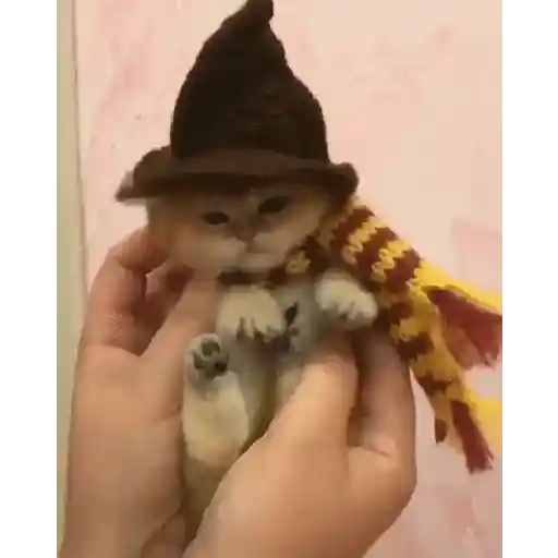 Halloween 🎃 4