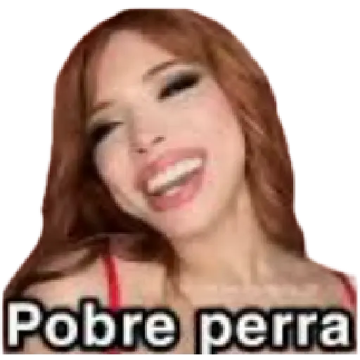 Pobre perra
