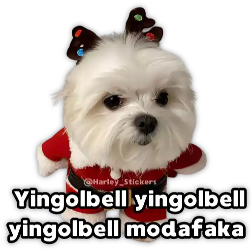 Perritos Navideños 11