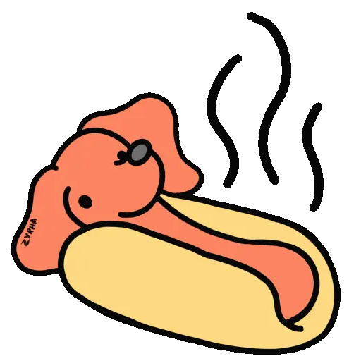 Perro Bachicha 3