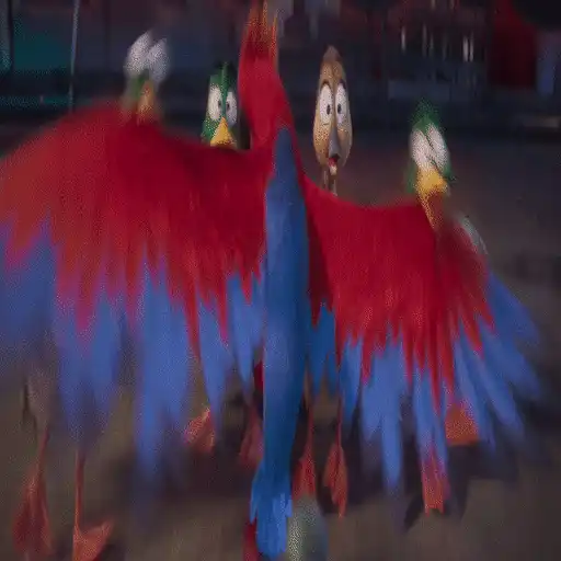 Migration 🦆💕1.1 Mov 13