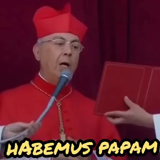 Papa Leon XIV 😎 22