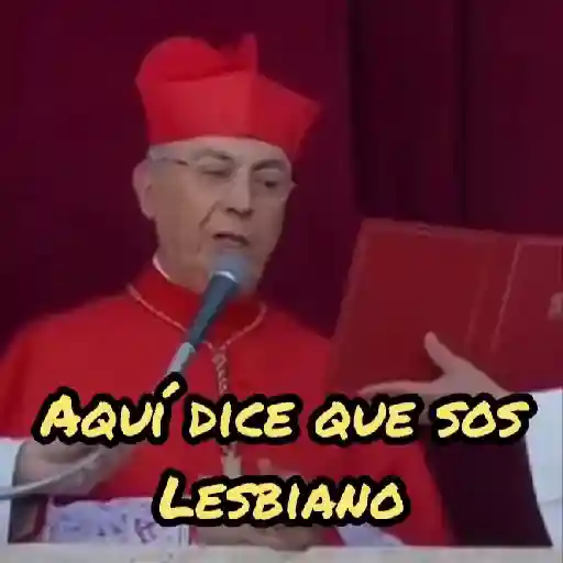 Papa Leon XIV 😎 24