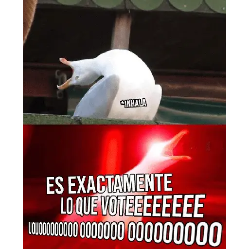 Argentina no lo entenderias 1