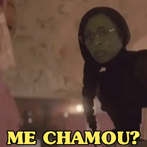 MEMES WICKED 💚🩷 18