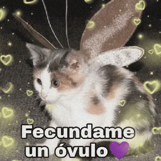 of จ Fecundame un óvulo