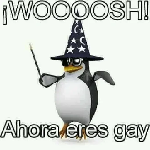 soy admin 30