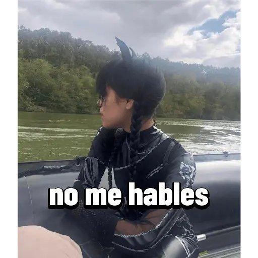 Miércoles Addams 23