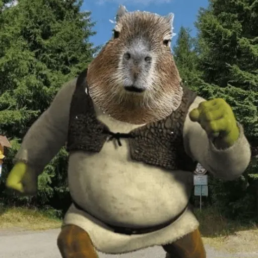 Capibara Random 🍉 20