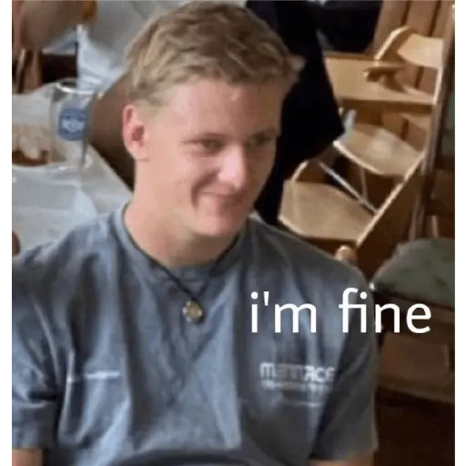 Formula 1 14