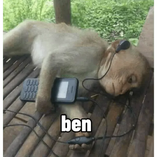 Türk Meme 20