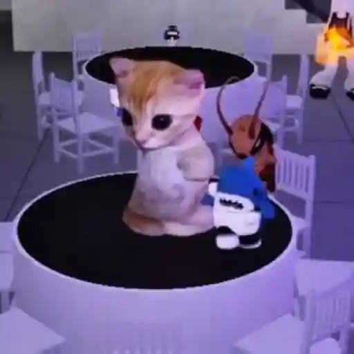 🎵 TIKTOKeando 36🎵 14