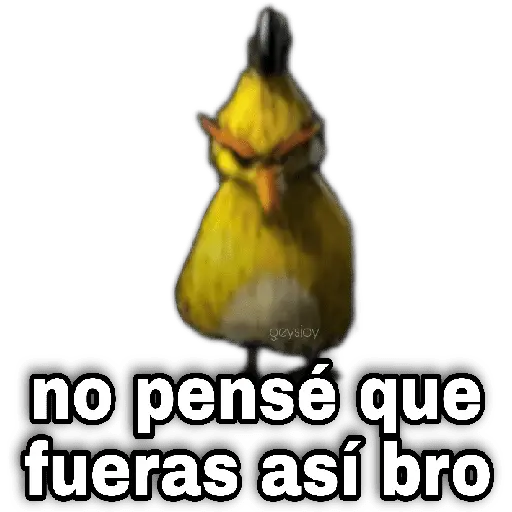 Memes Angry birds 🕳️🐦😶🌫️ 22