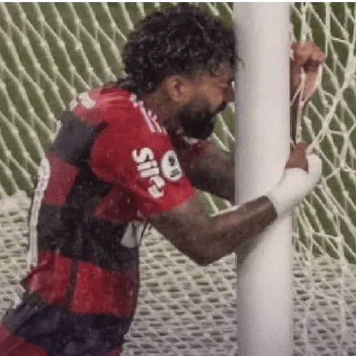 flamengo memee 1