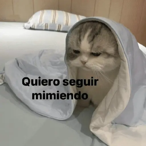 Más REACCIONES #6 🤖 11